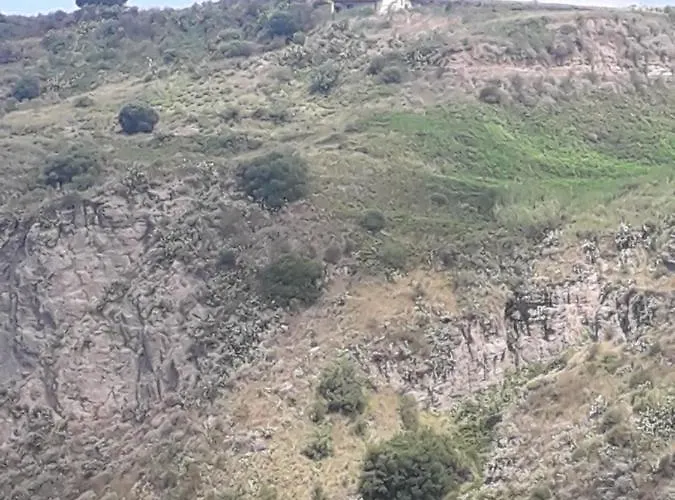 Apartment La Ginestra